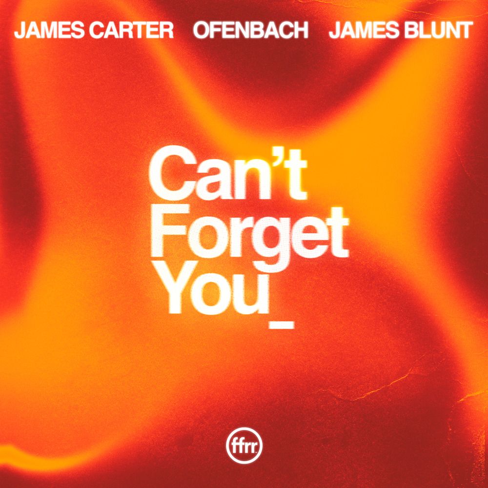 Can't Forget You (feat. James Carter & Ofenbach)