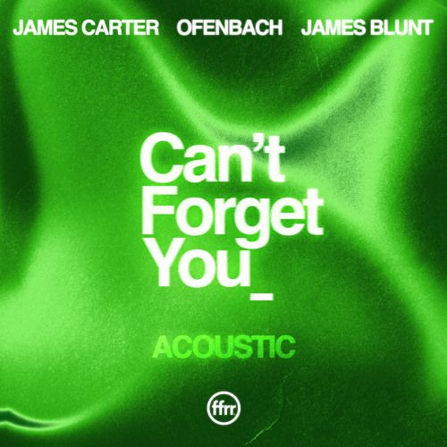 Can't Forget You (Acoustic) (feat. James Carter & Ofenbach)