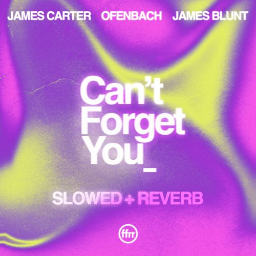 Can't Forget You (Slowed + Reverb) (feat. James Carter & Ofenbach)