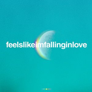 ​feelslikeimfallinginlove (Zerb Remix)
